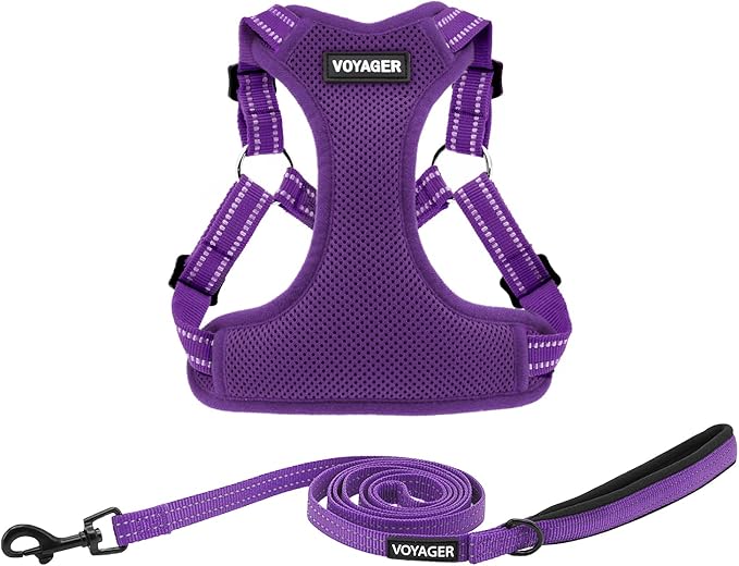 Best Pet Supplies Voyager Mesh Dog Breathable Harness Reflective Stitching, All Weather Adjustable for Walking Training, or Running - Heavy Duty & Durable, Harness Leash Set (Purple), M