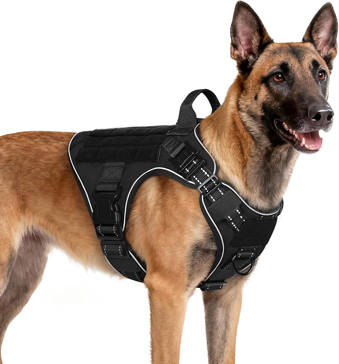 rabbitgoo Tactical Dog Harness Medium Sized, No Pull Upgraded Reflective Heavy Duty Molle Vest with Handle, Adjustable Military Service Dog Vest for Walking Hiking Training, Black, M