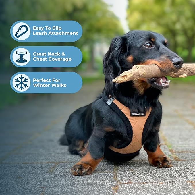 Best Pet Supplies - All Weather Mesh/Plush, Reflective, No Pull Harness for Small, Medium Dogs, Cats - Secure with Hook & Loop Fastener, Buckle, Double D-Rings - Beige Plush, S