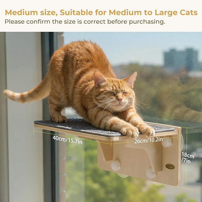 Pecute 2-in-1 Cat Window Perch & Wall Shelves, Cat Hammock Window with Solid Wood, Strong Suction Cup, Washable Cover Mat, Kitten Window Seat Indoor, Cats Perch Bed for Birds Watching Inside,16"x10"