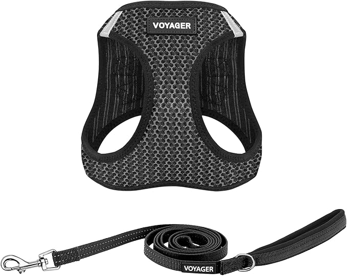 Voyager Step-in Air All Weather Mesh Harness and Reflective Dog 5 ft Leash Combo with Neoprene Handle, for Small, Medium and Large Breed Puppies by Best Pet Supplies - Gray (2-Tone), XL