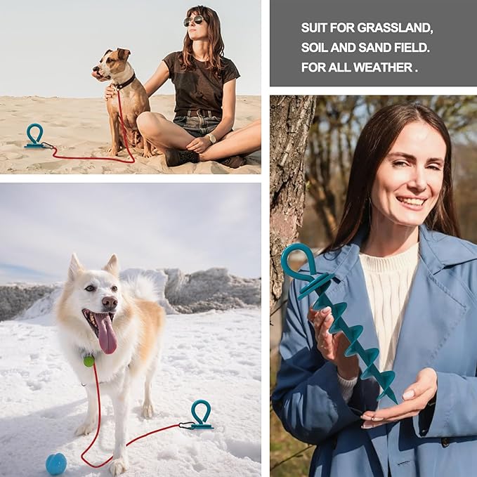 Eurmax USA Heavy Duty Dog Tie Out Stake for Large Dogs up to 210 lbs,Dog Stakes for Outside,Ground Anchor for Dog Leash,Runner Cable, Pet Gadget Dog Accessories Trampoline Stakes(1,Medium,Navy Blue)