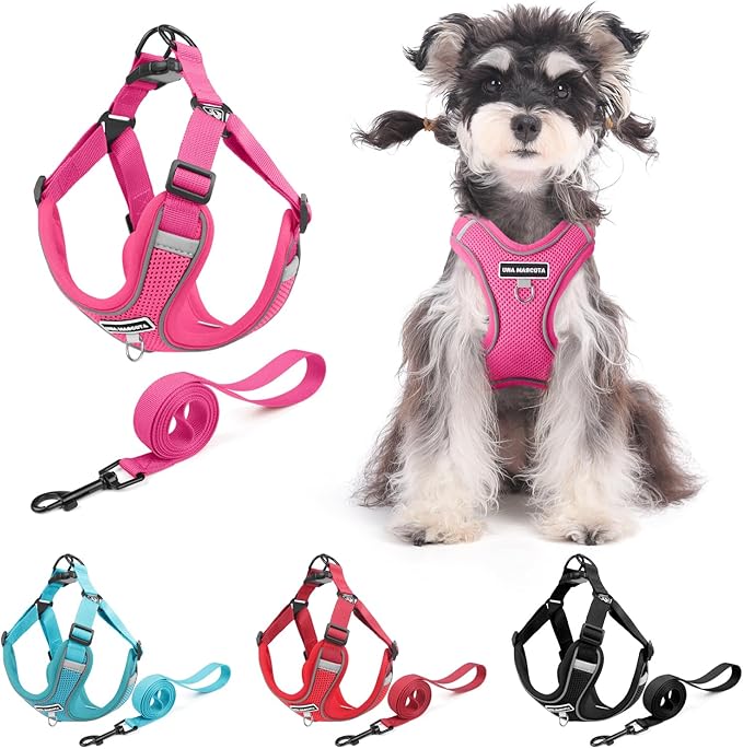 Dog Harness and Leash Set, Adjustable Triangle, Reflective Adjustable Puppy Vest, No Pull Soft Mesh Harness for Small, Medium Dogs, Cats (Fuchsia, S)