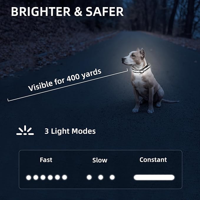 Super Bright LED Dog Collar - Fully Waterproof & Adjustable Glow Collar - USB-C Rechargeable for Night Walking, Safety - Flashing Lighted Collar for Dogs(White,L)