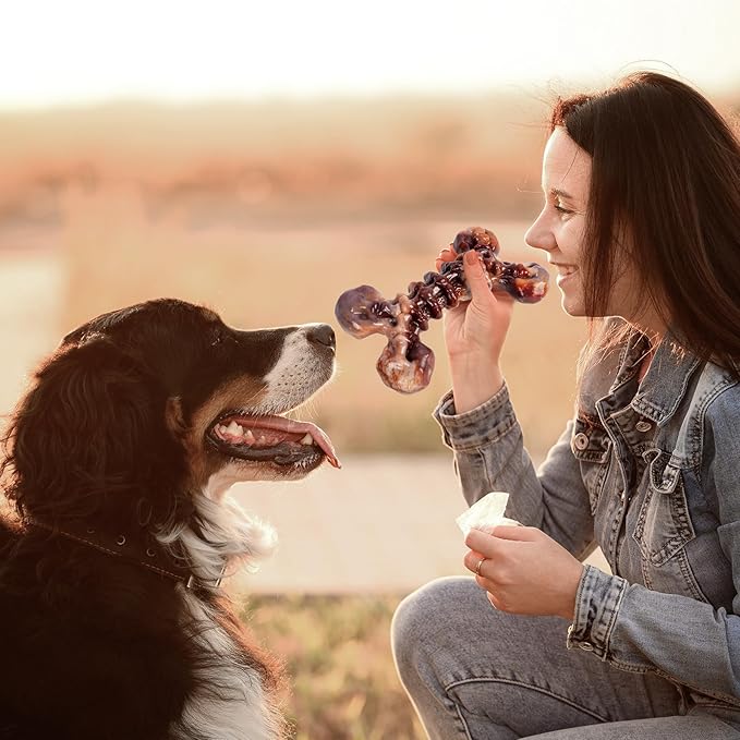 6-Pack Heavy Duty Nylon Dog Chew Toys for Medium Large Dogs, Bacon Flavor, Pure Nylon for Aggressive Chewers, Reduces Boredom, Varied Shapes, Designed for 25-80 lbs Breed Sizes