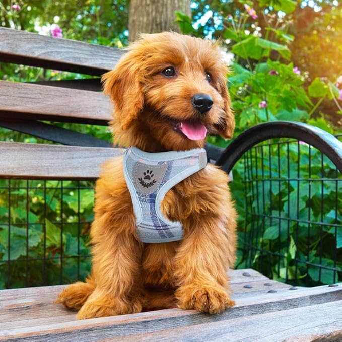 PUPTECK Adjustable Dog Harness Collar and Leash Set Step in No Pull Pet Harness for Small Medium Dogs Puppy and Cats Outdoor Walking Running, Soft Mesh Padded Reflective Vest Harnesses, Blue L