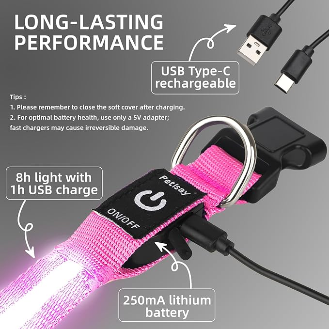 LED Dog Collar for Small Dogs Cats - Fully Waterproof & Adjustable Glow Collar - USB-C Rechargeable for Night Walking, Safety - Flashing Lighted Collar for Dogs(Pink,XS)