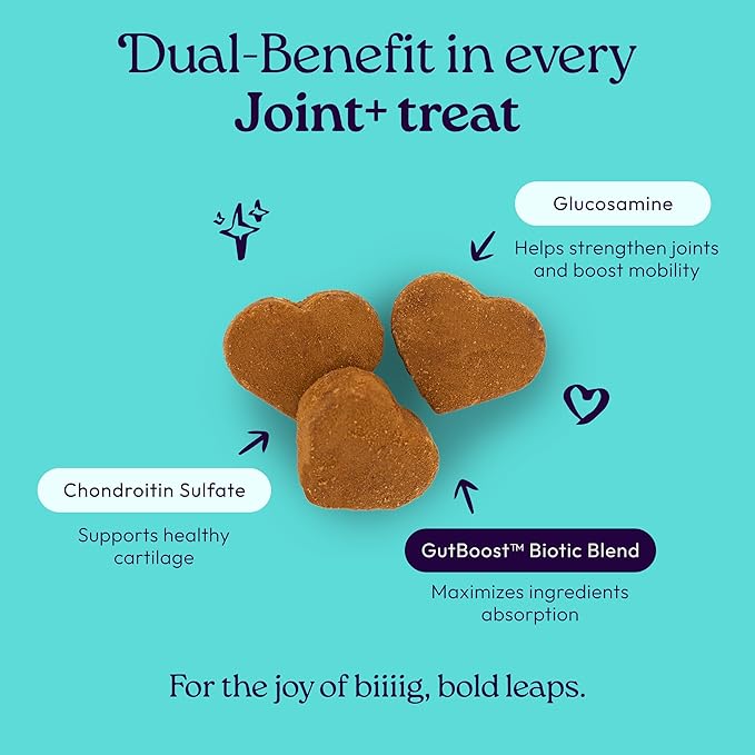 WellJoy Dog Treat Joint+ GutBoost | Glucosamine | Healthy Joints & Cartilage | Dual-Benefit GutBoost Formulation | Vet Formulated | Made in USA | Made with Real Shredded Chicken | 30 Soft Chews