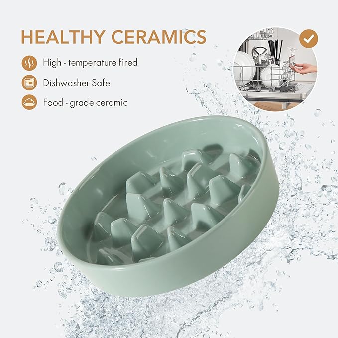 Ceramic 3.2 Cup Dog Bowl Slow Feeder, 9.5 inch Slow Pet Food Dish for Large Dog, Stop Bloat, Preventing Choking(Single Bowl,Light Green)