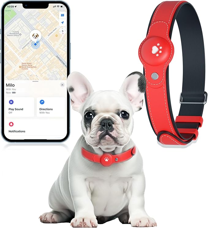 2-in-1 GPS Tracker for Dogs: Smart Collar with Real-Time Location, No Monthly Fee, Unlimited Range (iOS Only) GPS Tracker Dog Collar- Ideal for Small, Medium Large Dogs(Tracker Included)