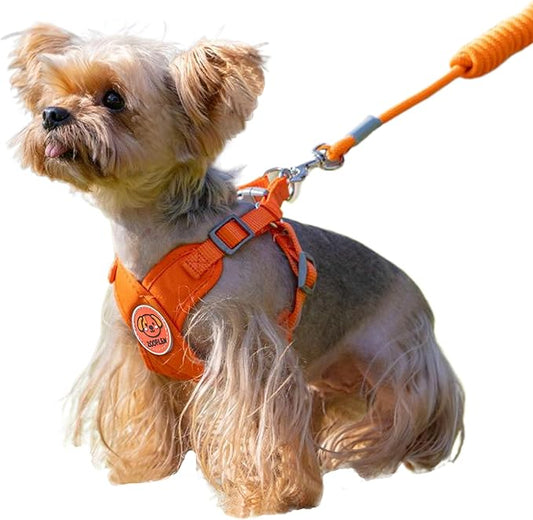 Dog Harness with Leash Set, Puppy Soft Vest No Choke No Pull, Adjustable Neck and Chest, Lightweight Harness and Anti-Twist Pet Leash Combo for Small to Medium Dogs (Orange, M-Medium)