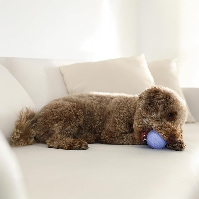 Playology Dog Toys | Dual Layer Ball Durable Chew Toy for Aggressive Chewers | Medium Blueberry Scented Toy - Easy to Clean and Made from Non Toxic Materials