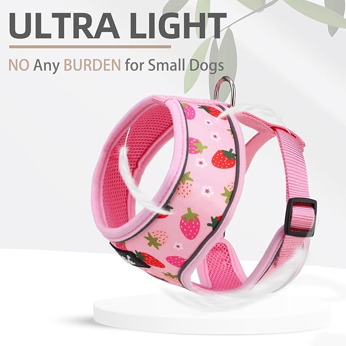 PUPTECK Soft Mesh Dog Harness and Leash Set Pet Puppy Cat Comfort Padded Vest No Pull Harnesses, Strawberry Pink, M