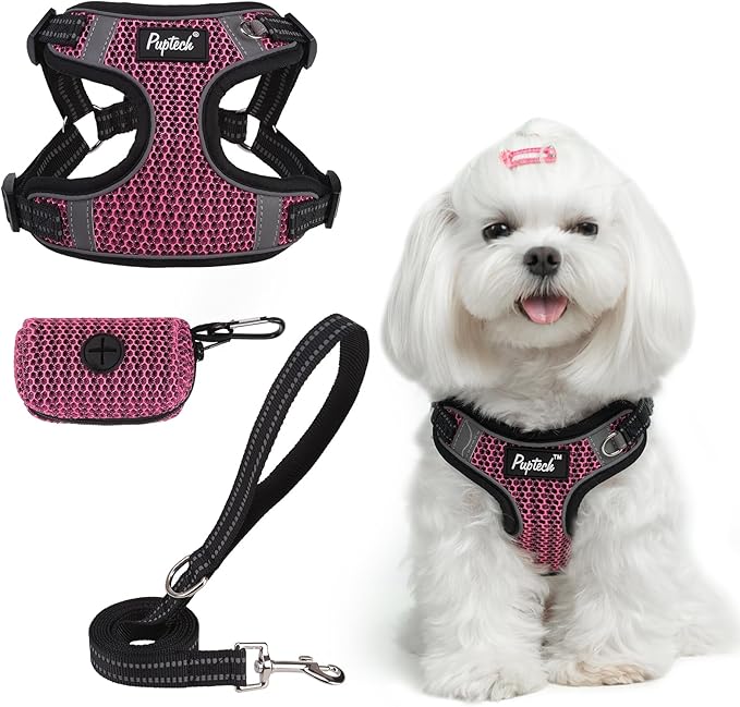 PUPTECK Dog Harness and Leash Set Small Sized, Step in No Pull Adjustable Puppy Cat Harness Reflective Pet Vest