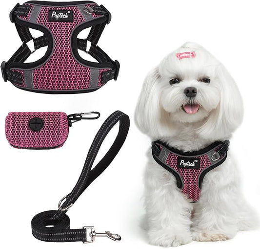 PUPTECK Dog Harness and Leash Set Small Sized, Step in No Pull Adjustable Puppy Cat Harness Reflective Pet Vest