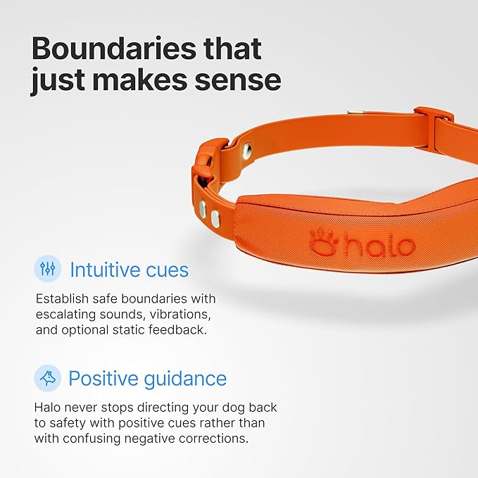 Halo Collar 5, New Wireless Dog Fence & GPS Dog Collar, Subscription Required, Waterproof, Midnight, One Size