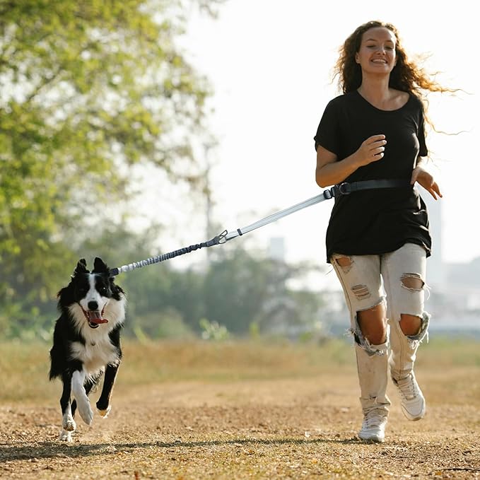 Roses&Poetry Hands Free Dog Leash for Medium Large Dogs Heavy Duty, No Pull Bungee Dog Running Waist Leash for Walking Training with Car Seatbelt 4-6FT