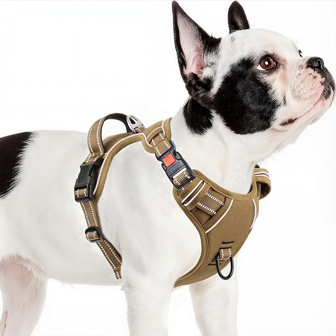 Timos Dog Harness Small Sized, No Pull Pet Harness with Neck Lockable Snap,No Choke Front Clip Dog Reflective Vest,Adjustable Metal Rings 3 Buckles,Easy Control Handle for Small Dogs Khaki S