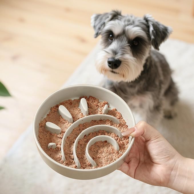 Ceramic Dog Slow Feeder Bowl - Small Dog Food Dish with Maze Puzzle Design - Slow Eating Puzzle Feeder for Pet Feed & Food Control - Whisker-Friendly Bowl for Cat Feeding - 6.3 Inch - 180 g - Grey