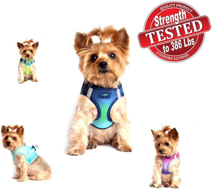 DOGGIE DESIGN American River Dog Harness Ombre Collection - Colbalt Sport