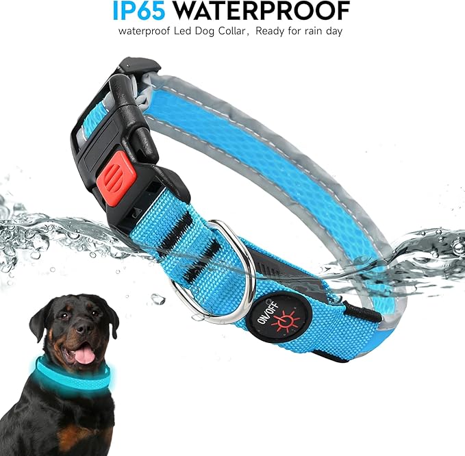 LED Dog Collar, Light Up Dog Collar USB Rechargeable, Nylon Adjustable Comfortable Soft Bright RGB 7 Colors Changeing Safety Light Glowing Collar for Small and Medium Dogs(Small,Blue)