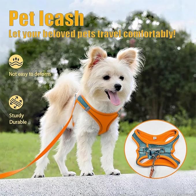 2-in-1 No Pull Dog Harness & Retractable Leash, Adjustable Dog Harness, No Pull Step-in Soft Mesh Puppy Vest Harnesses, Adjustable Puppy Vest for Small Medium Dogs and Cats