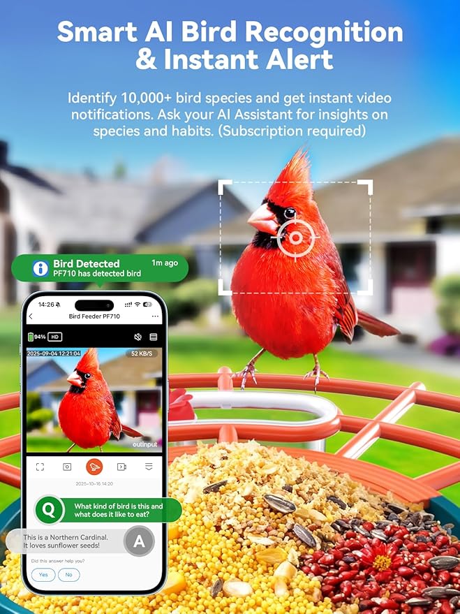 outinput 2.5K Smart Bird Feeder with Camera Solar Powered, AI Bird Species Identification, Squirrel Proof, Real-Time Video Notifications, Weatherproof, Ideal Gift for Family and BirdLovers, Navy Blue