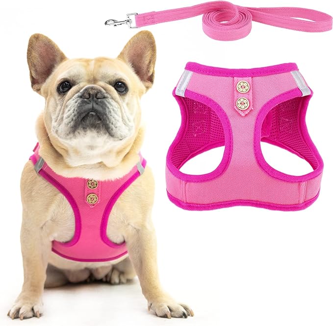 PUPTECK Dog Harness and Leash Set for Small Medium Dogs No Pull Step-in Soft Mesh Puppy Cat Vest Harnesses Reflective at Night, Denim Pink L