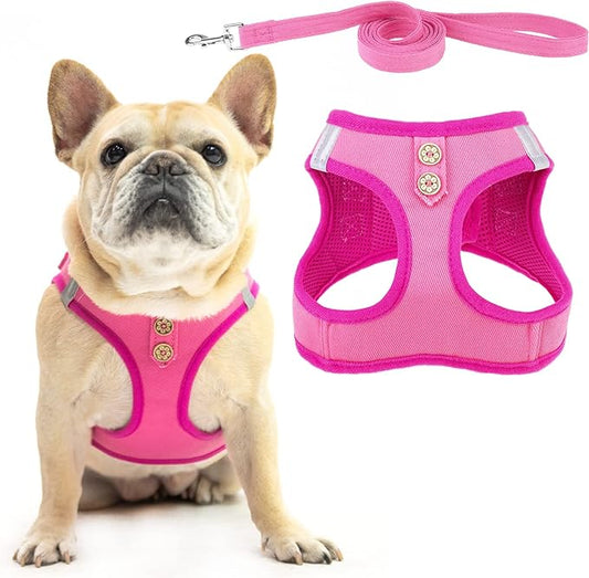 PUPTECK Dog Harness and Leash Set for Small Medium Dogs No Pull Step-in Soft Mesh Puppy Cat Vest Harnesses Reflective at Night, Denim Pink S