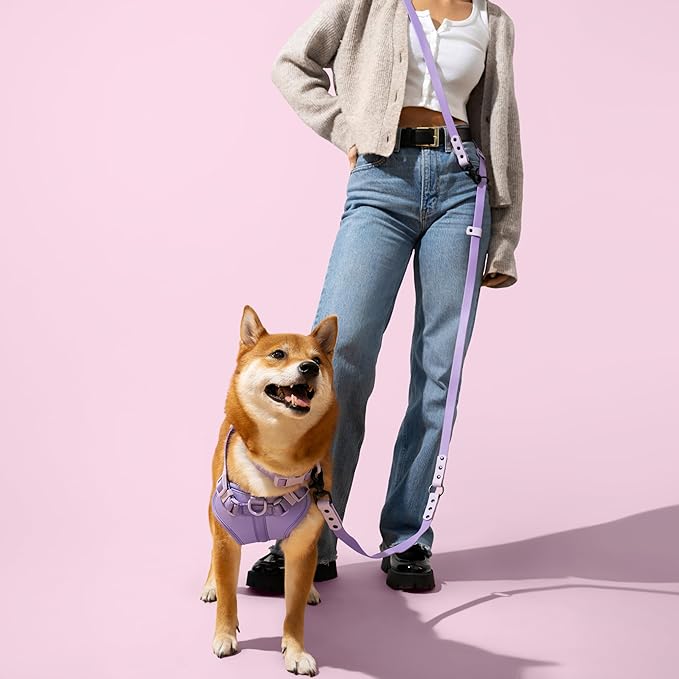 WLK1005H-5SET Luna Medium 8FT Adjustable 6-in-1 Waterproof Hands-Free Leash and Collar with LED Flashlight, Bag Dispenser, and Poop Bag Holder, Bramble