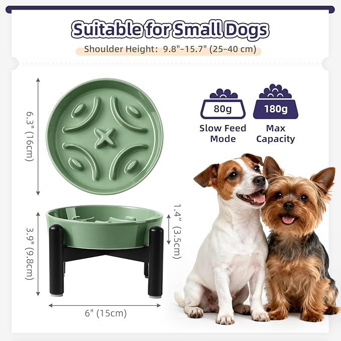 Elevated Slow Feeder Dog Bowl - Ceramic Maze Dog Food Bowl with Stainless Stand - Raised Slow Feeder for Small Breeds to Control Eating Speed - 6.3 Inch - 0.8 Cups (80g) - Green