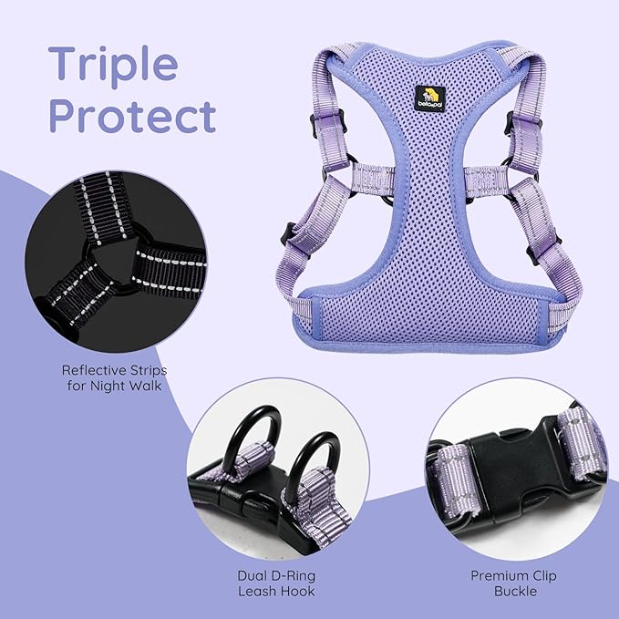 BELLA & PAL Adjustable Step-in Dog Harness, Puppy No-Pull Vest with Leash Set for XS/Small & Medium Dog, Breathable All-Weather Mesh, Reflective Strip, Secure Hook & Loop, Buckle Closure