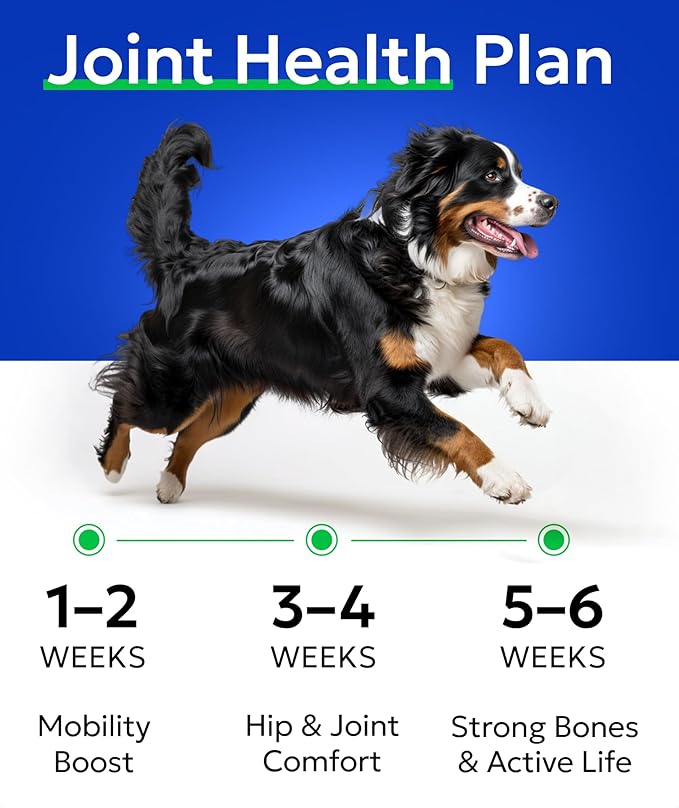 BARK&SPARK Glucosamine Chondroitin Dog Hip & Joint Supplement - Joint Pain Relief - Hip & Joint Chews - Joint Support Large Small Breed - Senior Doggie Vitamin Pill Joint Health (120 Treats - Bacon)