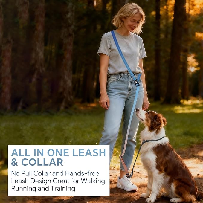 QQPETS Adjustable Slip Lead Dog Leash, Hands Free Waist Leash for Dog Walking, Reflective Training Lead with 360° Swivel Anti-Tangle, 4-7 ft Length for All Breeds