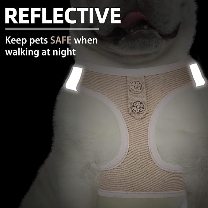 PUPTECK Dog Harness and Leash Set for Small Medium Dogs No Pull Step-in Soft Mesh Puppy Cat Vest Harnesses Reflective at Night, Denim Beige S