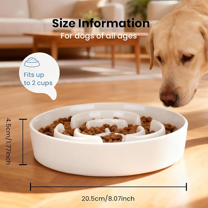 Ceramic Slow Feeder Dog Bowls,2.0 Cups Slow Feeder for Medium Large Breed,Puzzle Dog Food Bowl to Slow Down Eating, Anti-Gulping, Stop Bloat,Preventing Choking,Anti-Slip,8in,White