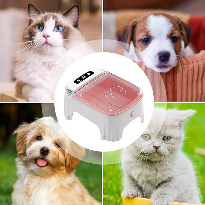 Automatic Cat Feeder - Auto Pet Feeder, Programmable Smart Cat Food Dispenser | Electric Timed Feeding Bowl with Sensor Lid, Dry Food Portion Control for Kitten Puppy Small Dog ABS 2000mAh