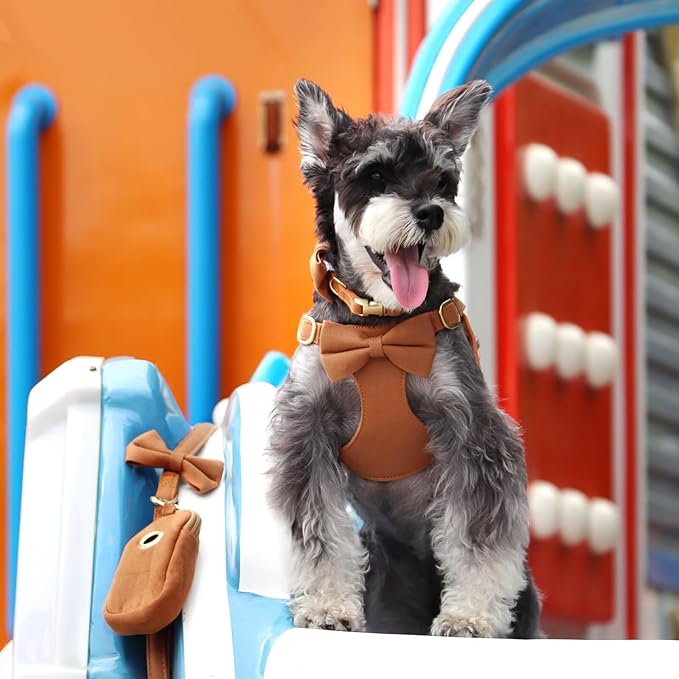 Beirui Cute Small Dog Harness Set with Three Detachable Bows, Adjustable Step in Dog Harness Collar and Leash Set with Secure Metal Buckle for Daily Walking, Parties & Holiday Outfits(Brown,S)