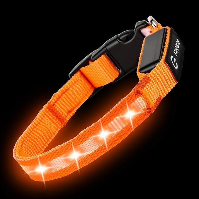 LED Dog Collar for Small Dogs Cats - Fully Waterproof & Adjustable Glow Collar - USB-C Rechargeable for Night Walking, Safety - Flashing Lighted Collar for Dogs(Orange,XS)