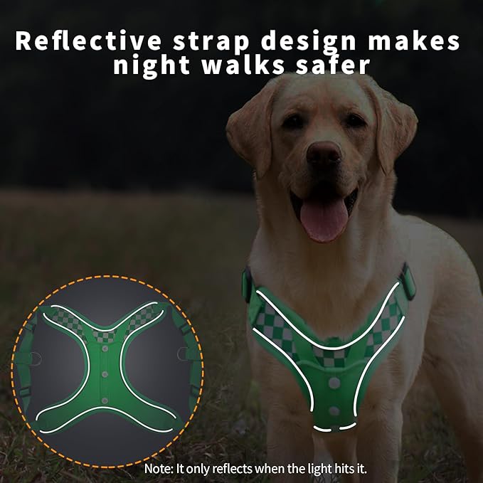 Dog Lovely Harness with Leash Set, Adjustable Step in with Breathable Padded Puppy Harness for Large Medium Dogs (L Green)