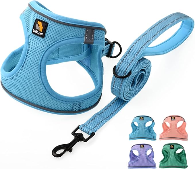 BELLA & PAL Step in Vest Harness for Small and Medium Dogs, No Pull Small Dog Harness with Leash Set, Comfortable Air Mesh Dog Vest Harness with Reflective Strip (Sky Blue, XS)