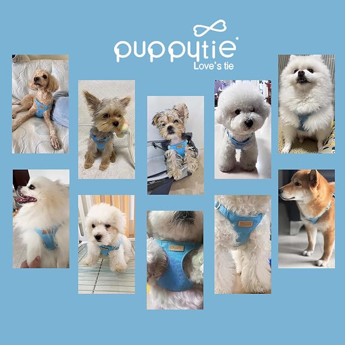 Puppytie Ultra-Light No-Pull XXS Dog Harness – Escape-Proof Adjustable Vest for Small Breeds (2.2-6lbs)