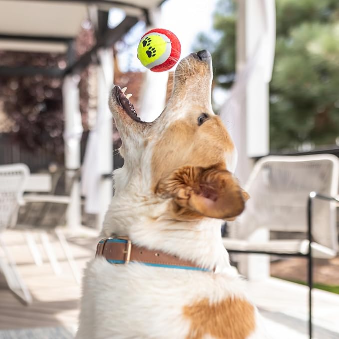 New Puppy Gift Basket - Premium Puppy Starter Kit and Dog Gift Basket with Dog Toys - Perfect Doggie Birthday Gifts and Puppy Necessities with Pet Toy Basket.