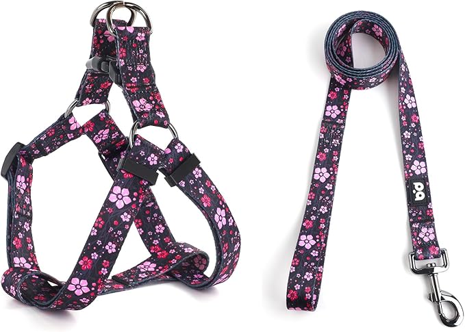 QQPETS Dog Harness Leash Set Adjustable Heavy Duty No Pull Halter Harnesses for Small Medium Large Breed Dogs Back Clip Anti-Twist Perfect for Walking