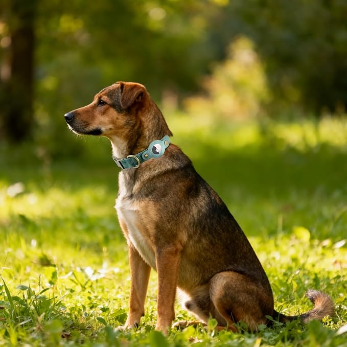 AirTag Dog Collar for Large Dogs - Soft Leather Dog Collar with Apple AirTag Holder and Metal Buckle - Smart Tracker GPS Apple Air Tag Pet Collars (Green, L)