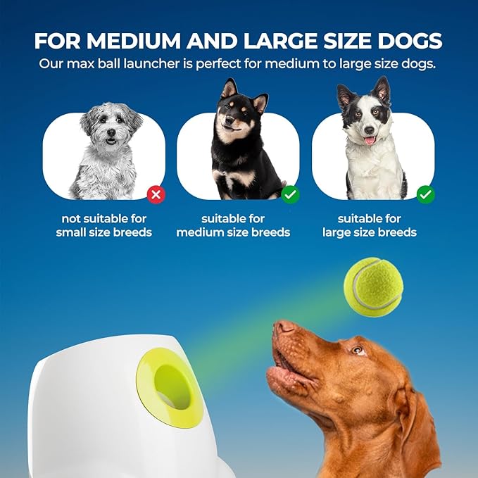 ALL FOR PAWS Automatic Dog Ball Launcher for Medium to Large Dogs, Interactive Tennis Ball Thrower, Rechargeable Dog Toy Mental Stimulation Training Game for Energetic Dogs