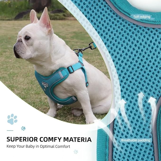 Dog Harness and Leash Set, Adjustable Triangle, Reflective Adjustable Puppy Vest, No Pull Soft Mesh Harness for Small, Medium Dogs, Cats (Turquoise, S)