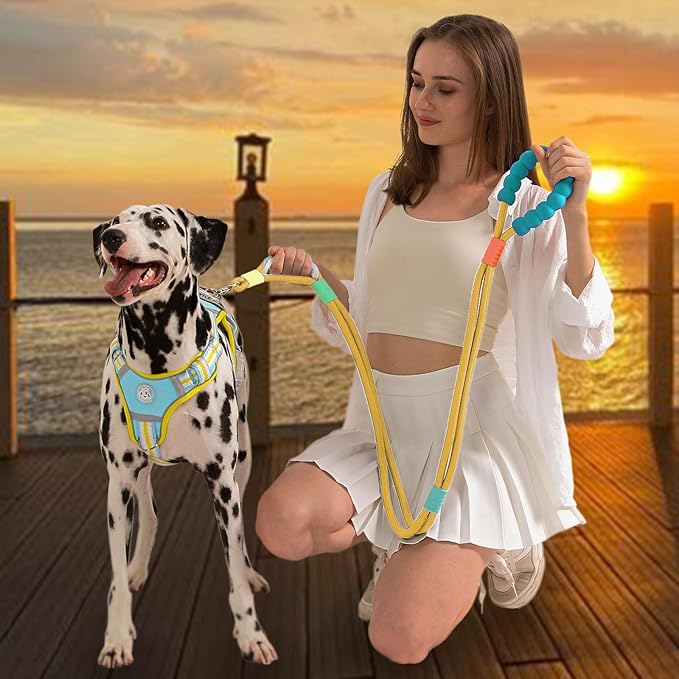 JSXD Dog Leash,5 FT Heavy Duty Dog Training Leash,Double Handle Comfortable Padded Hands Free Dog Leash,Adjustable Crossbody Waist Leash for Small Medium Large Dogs(Yellow)