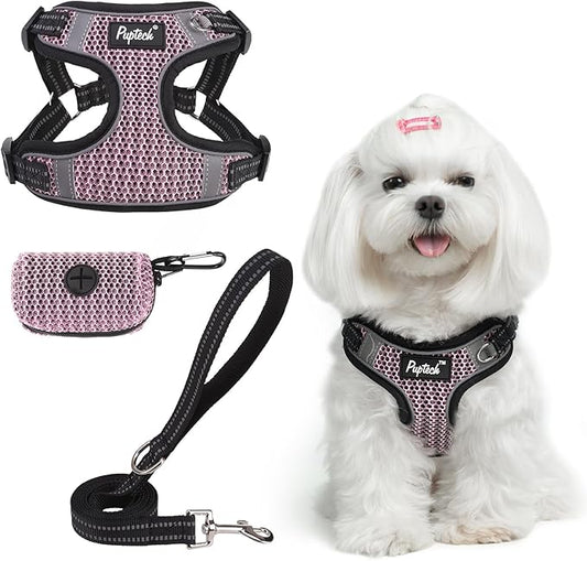 PUPTECK Dog Harness and Leash Set Small Sized, Step in No Pull Adjustable Puppy Cat Harness Reflective Pet Vest