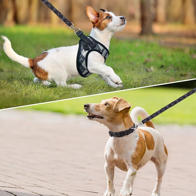SCENEREAL Small Dog Harness and Leash Collar Set, Step in No Pull Soft Mesh Dog Harnesses for Small Medium Sized Dogs Puppy and Cats Outdoor Walking, No Chock Reflective Vest Harness, Black Plaid S
